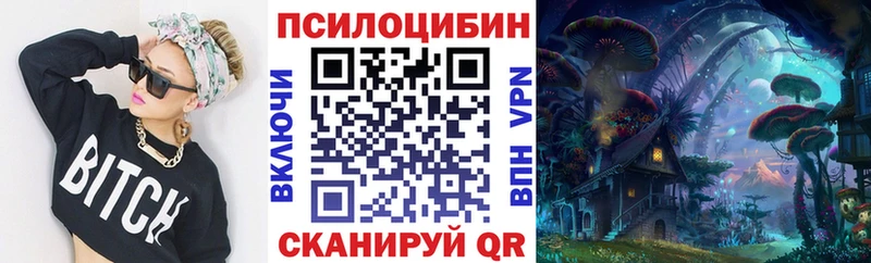 Псилоцибиновые грибы прущие грибы  Купить закладки  Кашира 