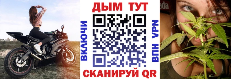 Шишки марихуана сатива Кашира